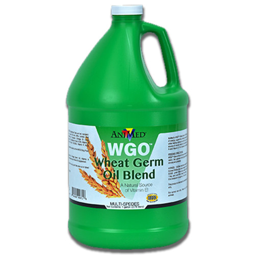 AniMed Wheat Germ Oil Blend (WGO)(1891)