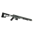 SCSA TAIPAN X 223 REMINGTON PUMP