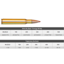 Hornady Superformance 30-06 180gr Sstspf