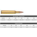 Ammo 270 Win 130 Gr Sst Spf