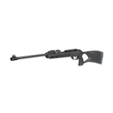 GAMO ROADSTER STORM IGT 10X GEN 2 .22 875FPS