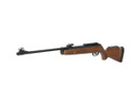 Gamo Hunter 440 Beechwood .22
