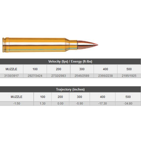 Hornady Superformance 300wm 180gr Sst