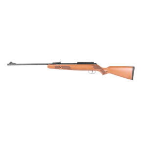 Winchester X55 .22 Air Rifle