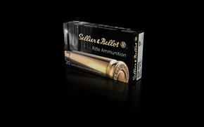 SELLIER AND BELLOT 308WIN 180GR SP