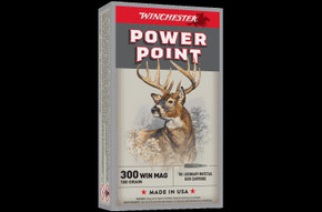 Winchester Super X 300wm 180gr Pp
