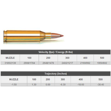 Hornady 243win 95gr Sst