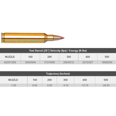 HORNADY 204 RUGER 32 GR V-MAX