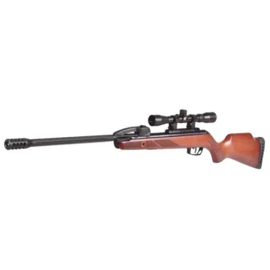 Gamo Replay Fast Shot Wood .22v Gen 1