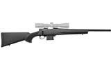 HOWA VARMINT SS 22-250 W HOGUE STOCK + RINGS + NIKKO PANAMAX SCOPE + CASE PACKAGE