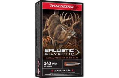 Win 243 95gr Ballistic Silvertip