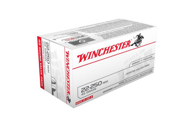 WIN 22-250REM 45GR JHP VARMINT 40RND