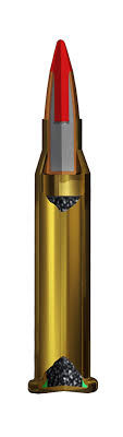 Winchester Varmint He 17wsm 25g X50
