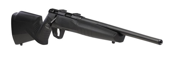 Savage B17 17hmr F Blued Synthetic 10 Shot
