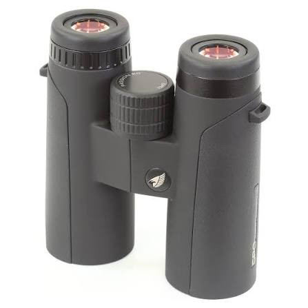 Gpo Evolve Ed 10x42 Black/anthracite