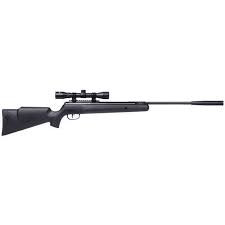 REMINGTON EXPRESS HUNTER NP SYN 950FPS .22
