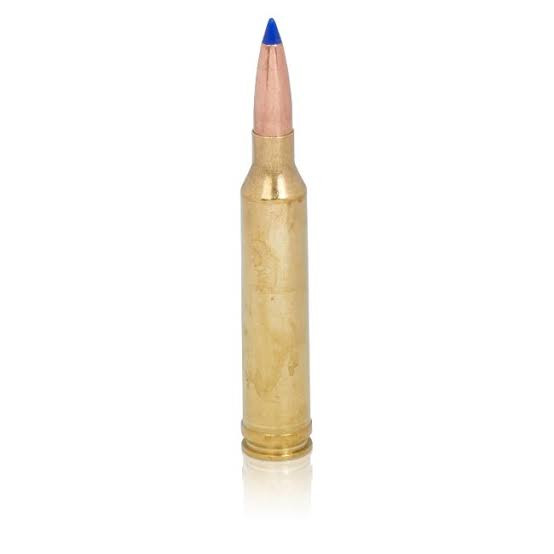 Barnes 300win Mag 150gr Ttsx
