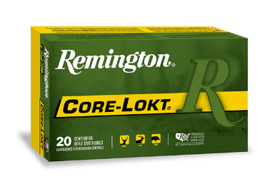 Remington .30-06 220gr Sp Core-lokt