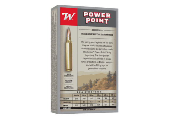 Winchester Super X 30-06sprg 180gr Pp