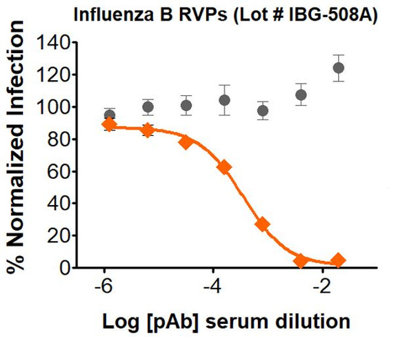 Gray circle: Negative control Sera; Orange diamond: Influenza B Sera

Neutralization utilized 5 µl of Influenza B RVPs in a 384-well plate. GFP positive cells were detected with an Intellicyt iQue flow cytometer using the BL-1 channel (Ex. 488 nm, Em. 530).