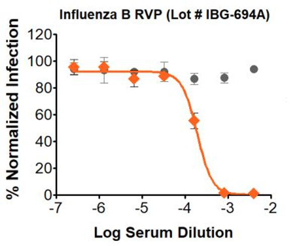 Gray circle: Non-Neutralizing Sera; Orange diamond: Neutralizing Sera

Neutralization utilized 5µL of Influenza B RVPs in a 384-well plate. GFP positive cells were detected with an Intellicyt iQue flow cytometer using the BL-1 channel (Ex. 488 nm, Em. 530).