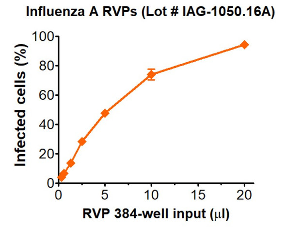 Infectivity and neutralization determined in HEK-293T cells. Infectivity data represents the average of three independent vials, each tested in quadruplicate.