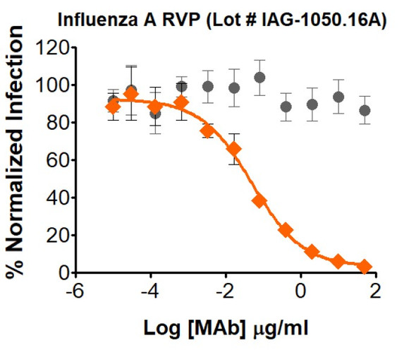 Gray circle: Non-Neutralizing mAb; Orange diamond: Influenza A Neutralizing mAb

Neutralization utilized 5 µl of Influenza A RVPs in a 384-well plate. GFP positive cells were detected with an Intellicyt iQue flow cytometer using the BL-1 channel (Ex. 488 nm, Em. 530).