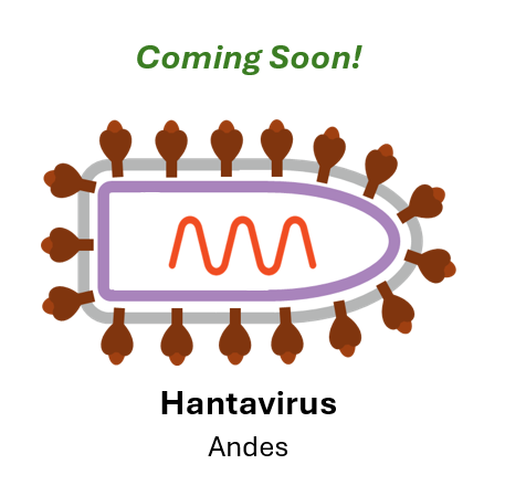 ANDV/Epuyen/18-19_Patient_19_1/2/19 Hantavirus RVPs coming soon!