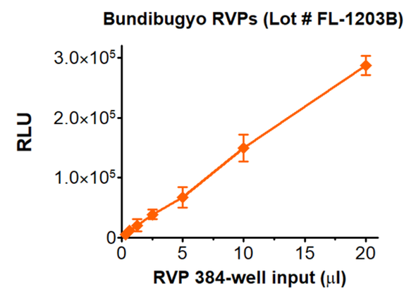 Democratic_Republic_of_the_Congo/PP_006XHL9.2/2026-05-07 Bundibugyo Ebolavirus RVPs. Infectivity determined in HEK-293T cells.