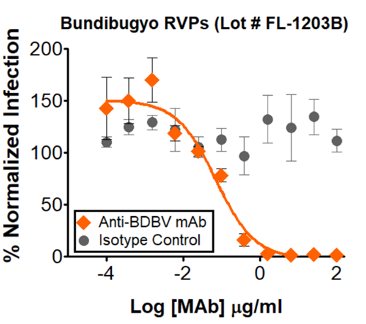 Democratic_Republic_of_the_Congo/PP_006XHL9.2/2026-05-07 Bundibugyo Ebolavirus RVPs. Neutralization utilized 5µl of BDBV RVPs in a 384-well plate.