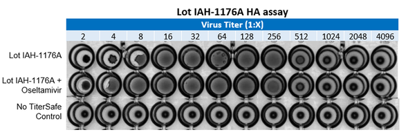 The HA assay was performed using 1% Guinea Pig RBCs in a 96-well plate. TiterSafe was treated with and without 
1mg/mL Oseltamivir to counteract NA activity, which may interfere with the TiterSafe-RBC lattice at high TiterSafe concentrations.