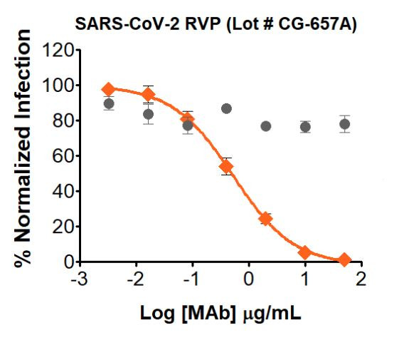 Gray circle: Non-neutralizing Mab; Orange diamond: SARS-CoV-2 MAb

Neutralization utilized 5µL of SARS-CoV-2 RVPs in a 384-well plate. GFP positive cells were detected with an Intellicyt iQue flow cytometer using the BL-1 channel (Ex. 488 nm, Em. 530).