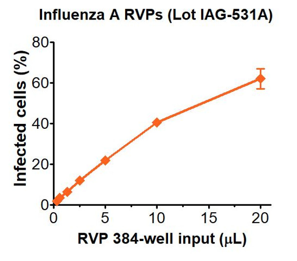 Infectivity determined in HEK-293T cells. Infectivity data represents the average of three independent vials, each tested in quadruplicate.