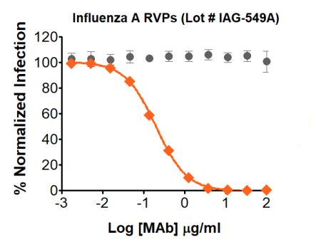 Gray circle: Non-Neutralizing mAb; Orange diamond: Influenza A Neutralizing mAb

Neutralization utilized 5 µl of Influenza A RVPs in a 384-well plate. GFP positive cells were detected with an Intellicyt iQue flow cytometer using the BL-1 channel (Ex. 488 nm, Em. 530).