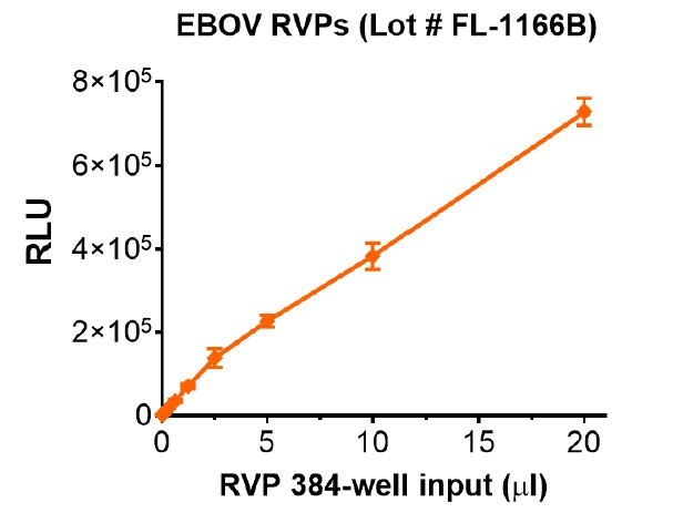Infectivity and neutralization determined in Huh-7 cells. Infectivity data represents the average of three independent vials, each tested in quadruplicate.