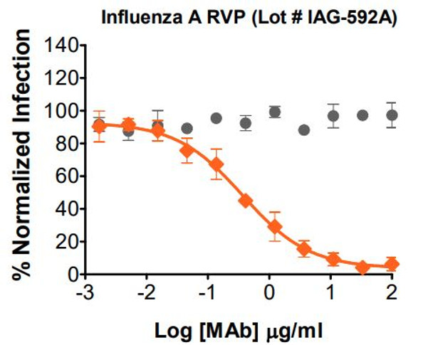 Gray circle: Non-Neutralizing mAb; Orange diamond: Influenza A Neutralizing mAb

Neutralization utilized 5 µl of Influenza A RVPs in a 384-well plate. GFP positive cells were detected with an Intellicyt iQue flow cytometer using the BL-1 channel (Ex. 488 nm, Em. 530).