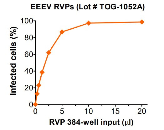 Infectivity determined in HEK-293T cells. Infectivity data represents the average of three independent vials, each tested in quadruplicate. GFP positive cells were detected with an Intellicyt iQue flow cytometer using the BL-1 channel (Ex. 488 nm, Em. 530).
