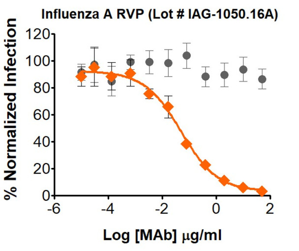 Gray circle: Non-Neutralizing mAb; Orange diamond: Influenza A Neutralizing mAb

Neutralization utilized 5 µl of Influenza A RVPs in a 384-well plate. GFP positive cells were detected with an Intellicyt iQue flow cytometer using the BL-1 channel (Ex. 488 nm, Em. 530).