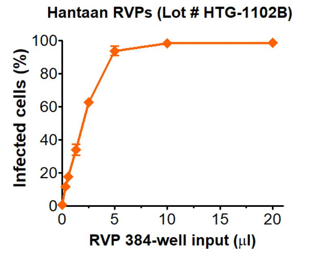 Infectivity determined in HEK-293T cells. Infectivity data represents the average of two independent vials, each tested in quadruplicate. GFP positive cells were detected with an Intellicyt iQue flow cytometer using the BL-1 channel (Ex. 488 nm, Em. 530).
