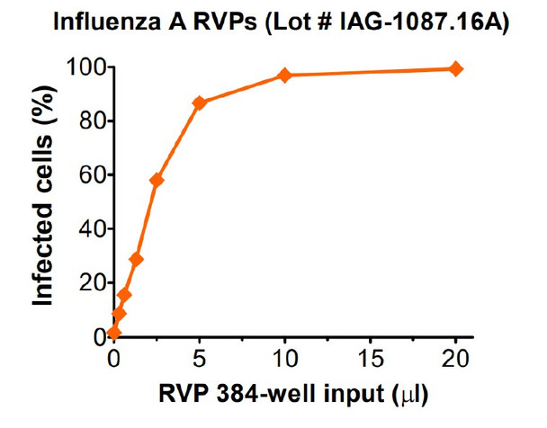Infectivity and neutralization determined in HEK-293T cells. Infectivity data represents the average of two independent vials, each tested in quadruplicate.