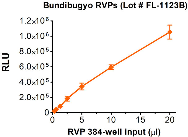 H.sapiens-tc/UGA/2007/Butalya-811250 Bundibugyo Ebolavirus RVPs. Infectivity determined in HEK-293T cells.
