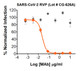 Gray circle: Non-neutralizing Mab; Orange diamond: SARS-CoV-2 Neutralizing MAb

Neutralization utilized 5 µl of SARS-CoV-2 RVPs in a 384-well plate. GFP positive cells were detected with an Intellicyt iQue flow cytometer using the BL-1 channel (Ex. 488 nm, Em. 530).