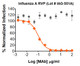 Gray circle: Non-Neutralizing mAb; Orange diamond: Influenza A Neutralizing mAb

Neutralization utilized 5 µl of Influenza A RVPs in a 384-well plate. GFP positive cells were detected with an Intellicyt iQue flow cytometer using the BL-1 channel (Ex. 488 nm, Em. 530).