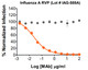 Gray circle: Non-Neutralizing mAb; Orange diamond: Influenza A Neutralizing mAb

Neutralization utilized 5 µl of Influenza A RVPs in a 384-well plate. GFP positive cells were detected with an Intellicyt iQue flow cytometer using the BL-1 channel (Ex. 488 nm, Em. 530).