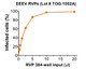 Infectivity determined in HEK-293T cells. Infectivity data represents the average of three independent vials, each tested in quadruplicate. GFP positive cells were detected with an Intellicyt iQue flow cytometer using the BL-1 channel (Ex. 488 nm, Em. 530).