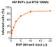 Infectivity and neutralization determined in U87 CD4/CCR5 cells. Infectivity data represents the average of three independent vials, each tested in quadruplicate.