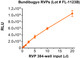 H.sapiens-tc/UGA/2007/Butalya-811250 Bundibugyo Ebolavirus RVPs. Infectivity determined in HEK-293T cells.
