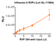 Infectivity determined in MDCK-SIAT1 cells. Infectivity data represents the average of three independent vials, each 
tested in technical quadruplicate. 
Renilla luciferase activity measured using the Promega Renilla luciferase assay system (Promega #E2710). Sample    
luminescence was read using a PerkinElmer EnVision plate reader.