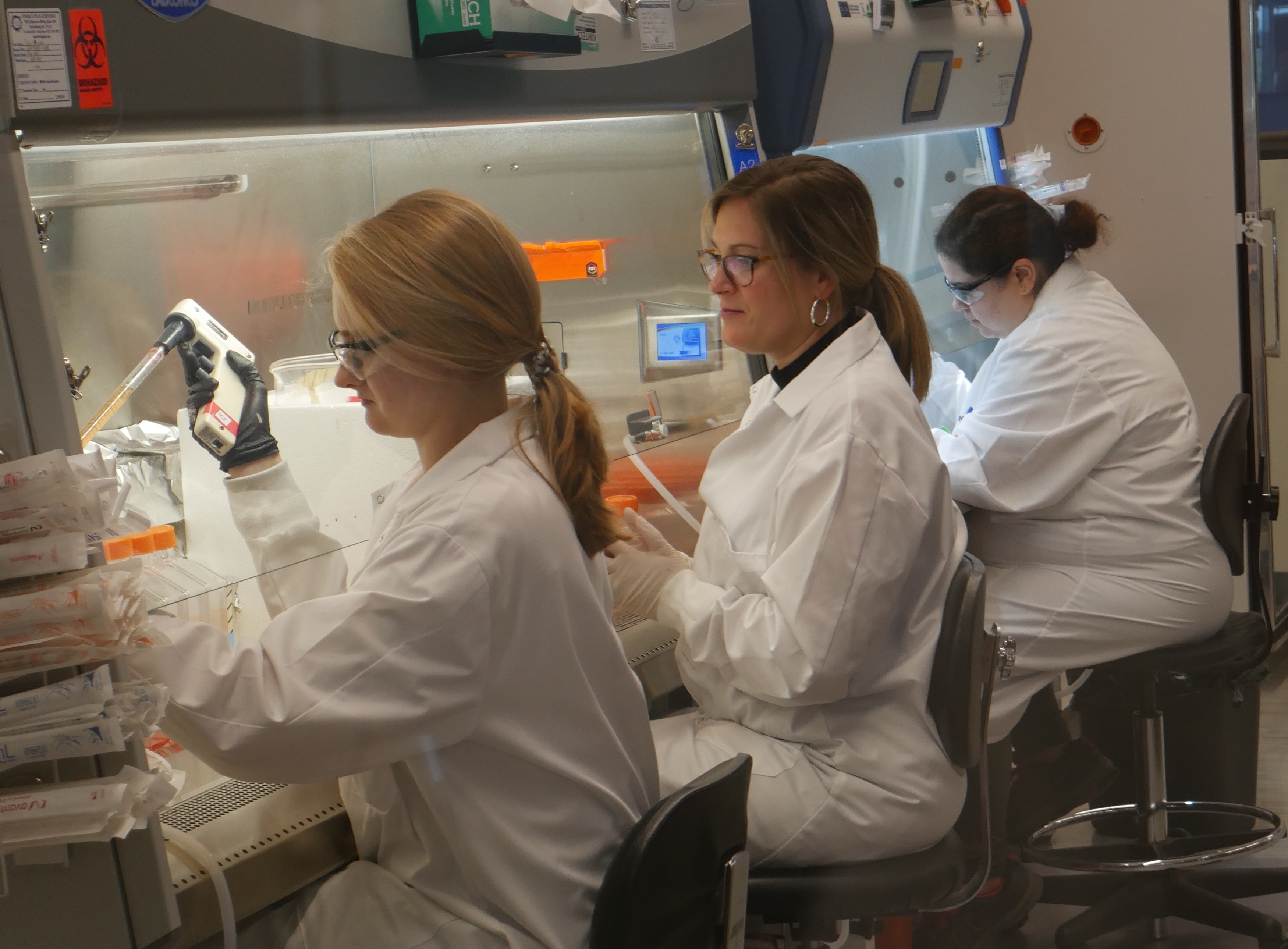 Virologists working with pseudoviruses in a BSL-2 lab