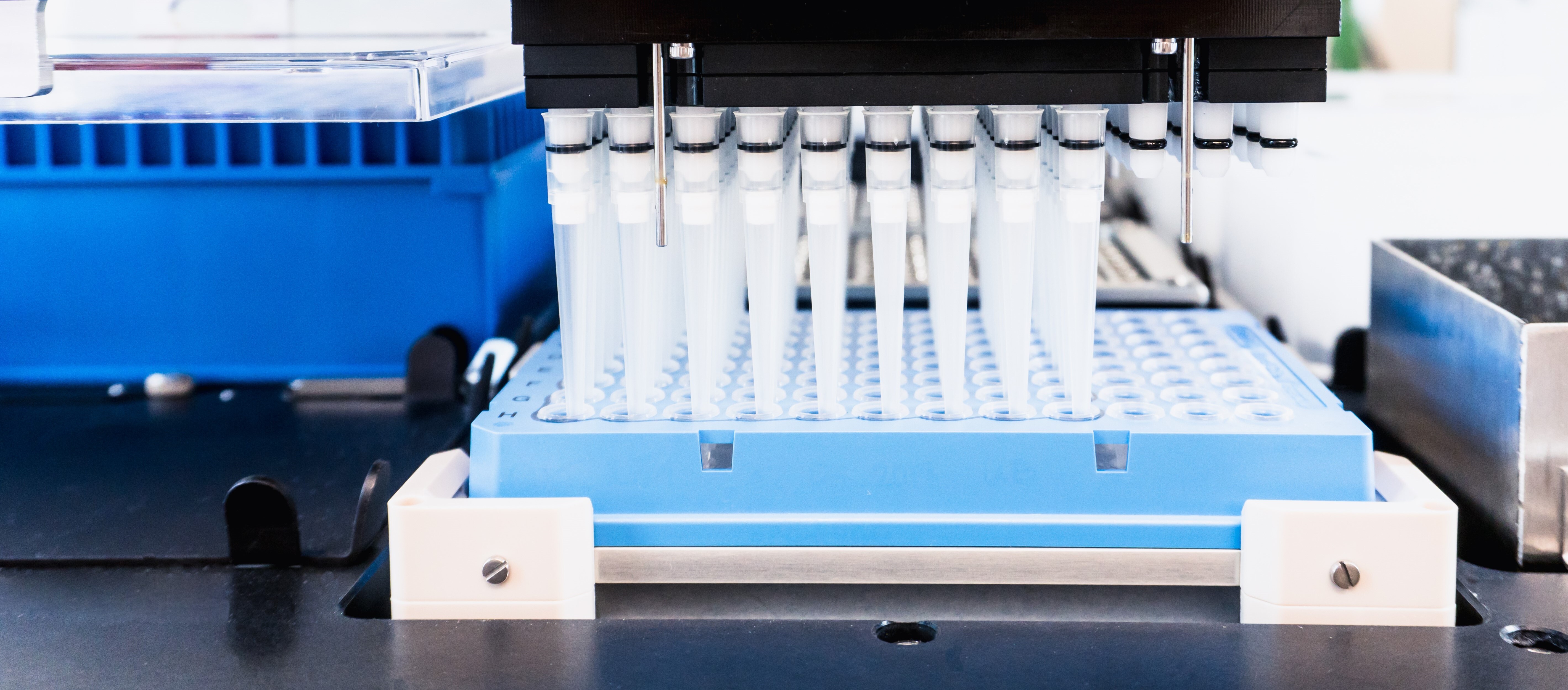A high-throughput liquid-handling robot setting up neutralization assays in a 96-well plate